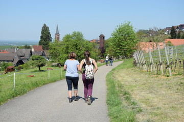 Wall Mural - Spaziergang bei Sasbachwalden