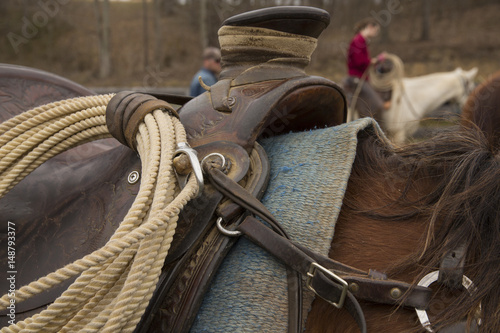 Fényképezés Beautiful brown horse waiting to be ridden