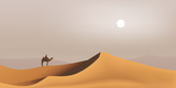 Fototapeta  - désert - Sahara - dune - Bédouin - dromadaire - paysage - Maghreb - tourisme