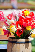 Red Tulips In Barrel