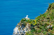 Seagull on cliff