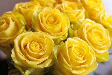 Bouquet of fresh yellow roses