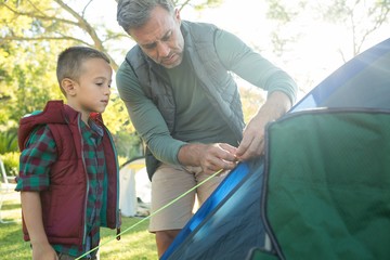 Wall Mural - Father and son setting up the tent at campsite