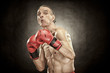 senior boxer man with red gloves old portrait on textured background