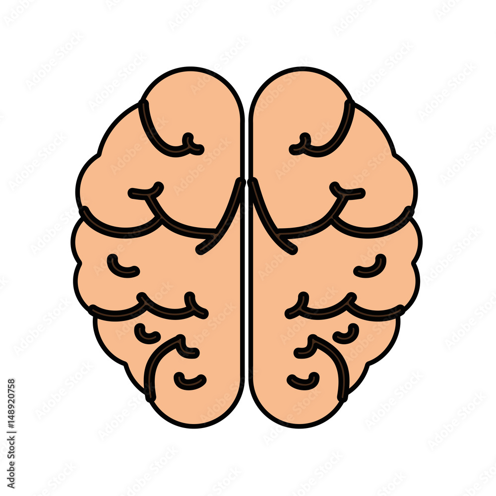 Human brain symbol vector illustration design icon
