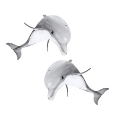 Wall Mural - Two jumping Bottlenose Dolphins - Tursiops Truncatus. Sea life isolated on white background. Animal 3D illustration for your happiness.
