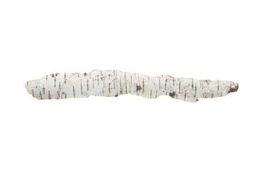 Birch bark on white isolated background