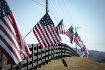 Fence With Flags