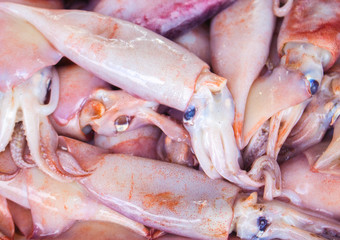 Bunch of fresh pink squid on seafood market. Sea fishing catch for tasty and healthy eating.