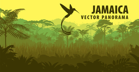 vector panorama of Jamaica with jungle and hummingbird