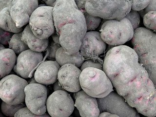 Wall Mural - Peruvian Potatoes background