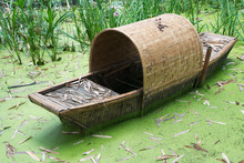 Old Abandonned Chinese Bamboo Boat In Green Water
