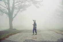 Little Boy Walking Through The Fog In Forest : Soft Focus
