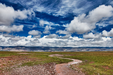 Wall Mural - Endless road in steppe, central asia 