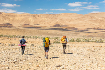 Wall Mural - Three backpackers walking stone desert trail.