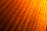 Fototapeta Fototapeta kamienie - Edgy bright wooden texture