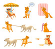 © paper_owl - Set of cartoon cat characters showing diverse actions, emotions. Funny cat taking sunbath, writing, playing with dog, sitting and doing other actions. Simple vector illustration