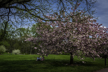 Botanical Garden