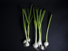 Fresh Green And White Spring Onions With Roots Isolated On Black Background