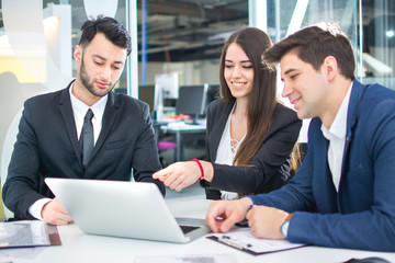 Wall Mural - White collar workers discussing financial report on laptop while having business meeting in the office.