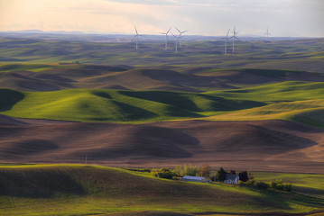 The Palouse