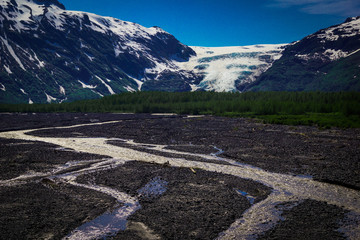 Exit Glacier 2