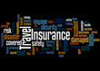 © kalpis - Travel insurance, word cloud concept 3