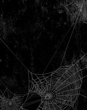 Spider Web Silhouette Against Black Shabby Wall - Halloween Theme Vertical Grunge Background