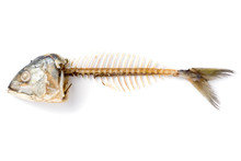 Fishbone From Roasted Mackerel Fish On White Background