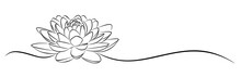 Lotus Sketch. 