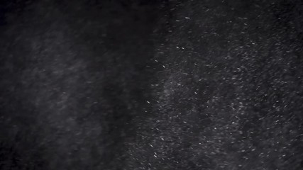 Wall Mural - white powder exploding isolated on black