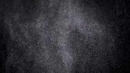 Wall Mural - white powder exploding isolated on black