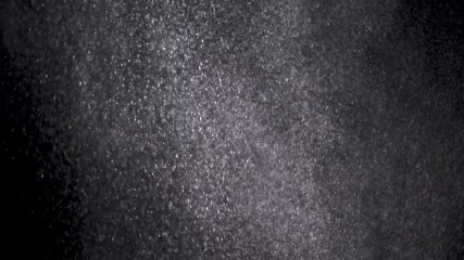 Wall Mural - white powder exploding isolated on black