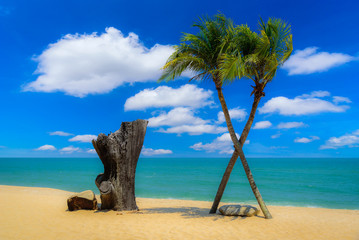 Two coconut palm tree cross on the tropical beach at daytime.