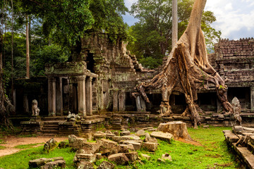 Wall Mural - Amazing Spung tree covering the ruins of Preah Khan temple. Built in the12th century for King Jayavarman VII, Angkor, Cambodia