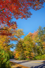 Wall Mural - autumn road surrounded by colorful and bright foliage in new england