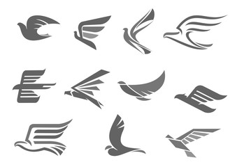 Sticker - Vector icons of flying birds and wings