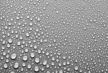 Wall Mural - Water drops on a gray background