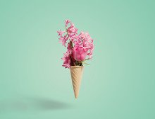 Flowers In A Waffle Cone On White Background