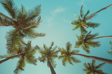 Wall Mural - Retro toned palm trees with sky as copy space