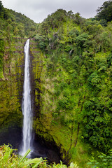 Wall Mural - Die Akaka Falls im Akaka Falls State Park auf Big Island, Hawaii, USA.