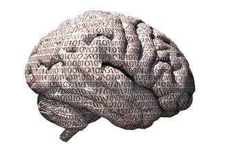 Binary brain