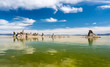 Tufa in the salty waters of Mono Lake in California