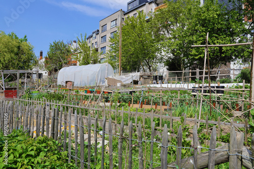 Fotomural potager urbain particulier à Bruxelles