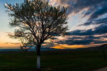 Wall Mural - Sunset landscape