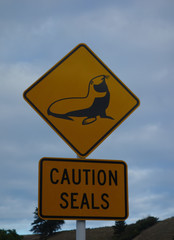 Sign Caution Seals New Zealand