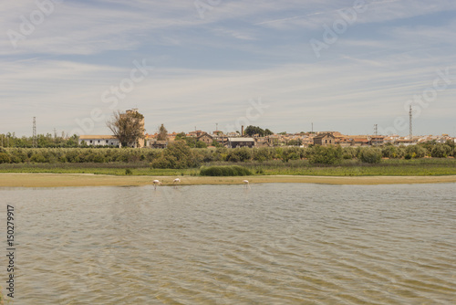 Fotografie, Obraz Detail of the lagoon of Fuente de Piedra