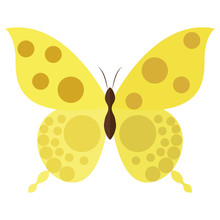 Isolated Yellow Butterfly