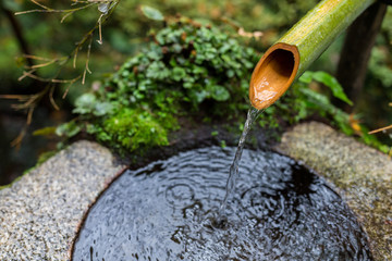 Canvas Print - Water bamboo in Japanese temple