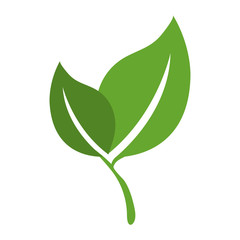 Poster - leafs plant ecology icon vector illustration design